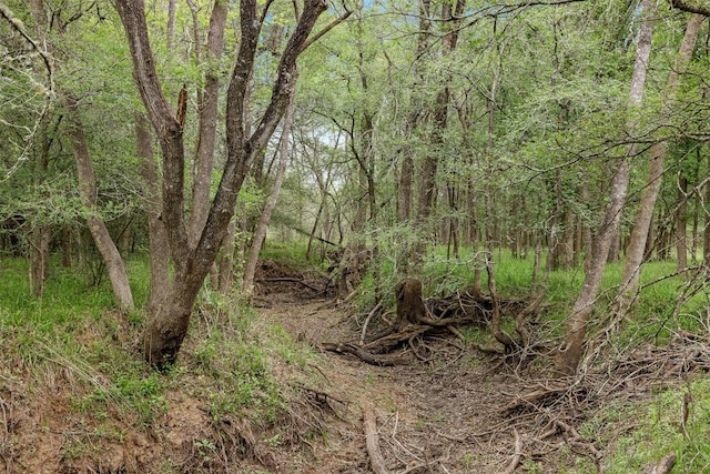 TBD(+/-25Acres) County Road 433, Dime Box, TX 77853