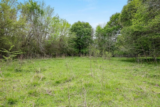 TBD(+/-25Acres) County Road 433, Dime Box, TX 77853