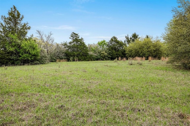 TBD(+/-25Acres) County Road 433, Dime Box, TX 77853