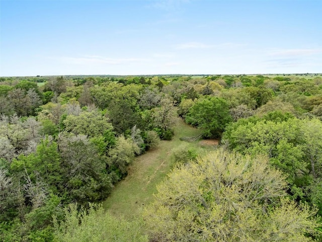 TBD(+/-25Acres) County Road 433, Dime Box, TX 77853