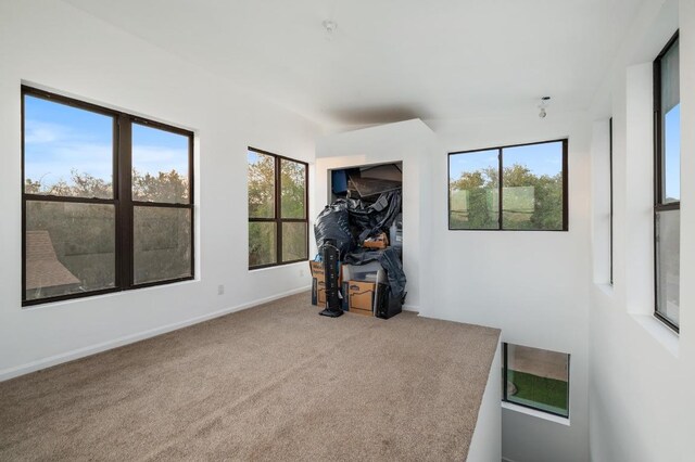 interior space featuring a wealth of natural light, carpet floors, and baseboards
