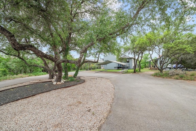 view of front of house with a carport and curved driveway