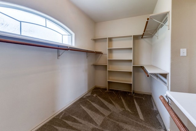 208 Saddletree Ln, Dripping Springs, TX 78620 - walk in closet with carpet flooring