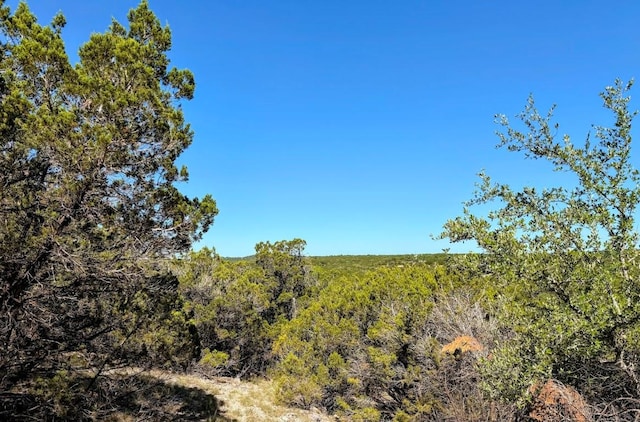 1930 S Rainbow Ranch Rd, Wimberley, TX 78676 - photo 8