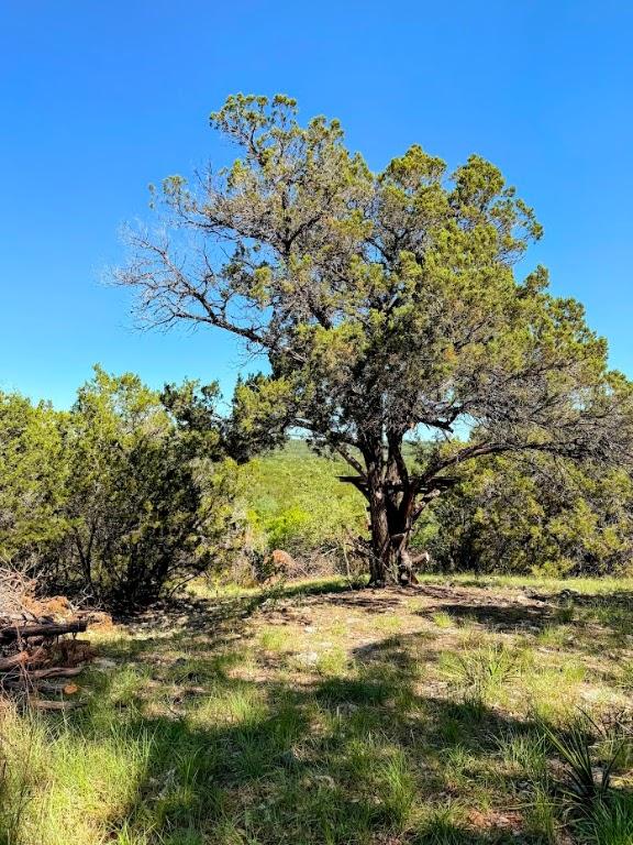 1930 S Rainbow Ranch Rd, Wimberley, TX 78676 - photo 9