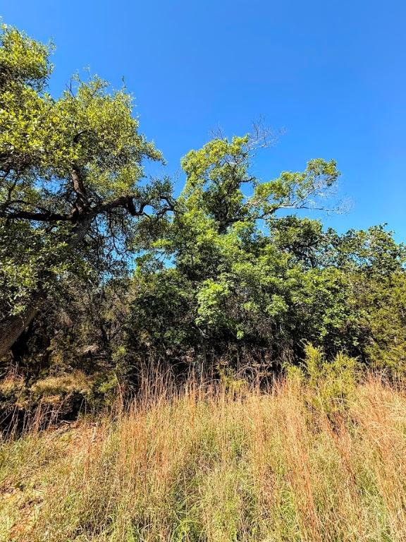 1930 S Rainbow Ranch Rd, Wimberley, TX 78676 - photo 10