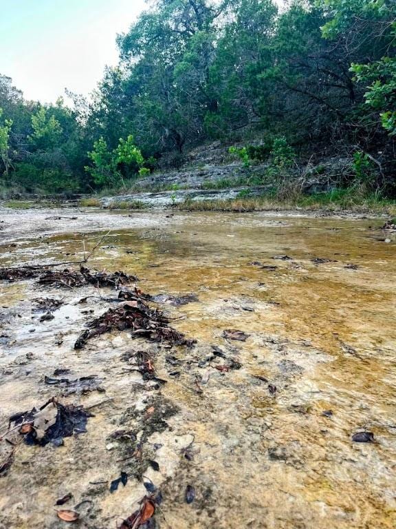 1930 S Rainbow Ranch Rd, Wimberley, TX 78676 - photo 5