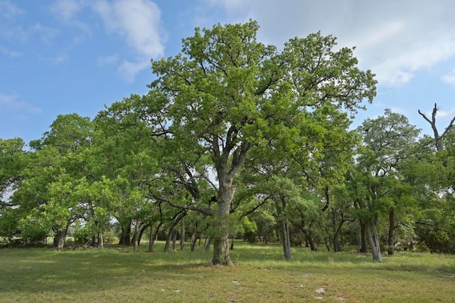 view of nature