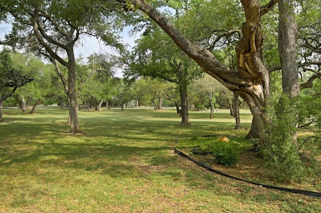 view of home's community featuring a lawn