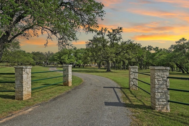 view of street featuring aphalt driveway and a gated entry