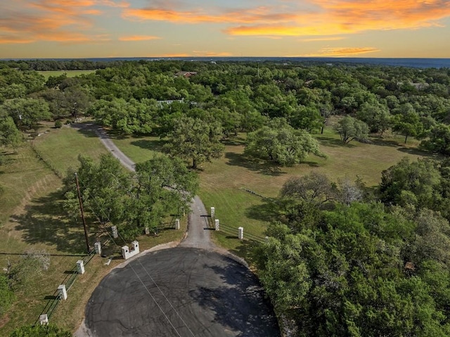 bird's eye view featuring a wooded view