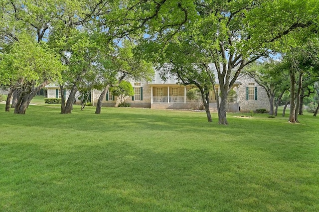 view of yard