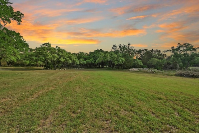 view of yard at dusk