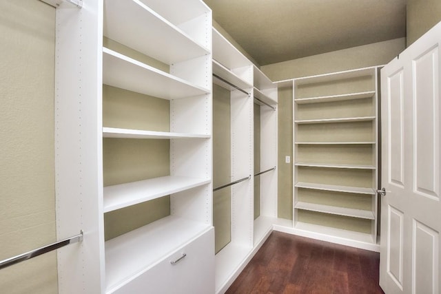 802 Apache Mountain Ln, Georgetown, TX 78633 - walk in closet with dark wood finished floors