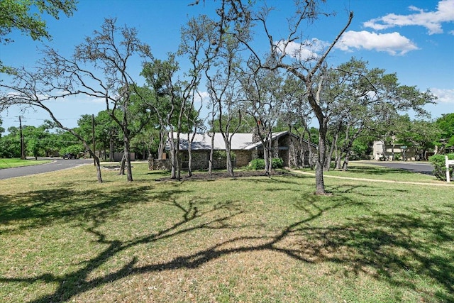 9401 Cedar Crest Dr, Austin, TX 78750 - view of green lawn