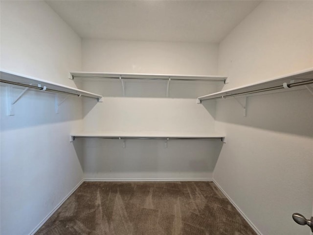 spacious closet with carpet