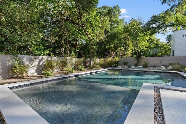 2003 Sharon, Austin, TX 78703 - photo 38