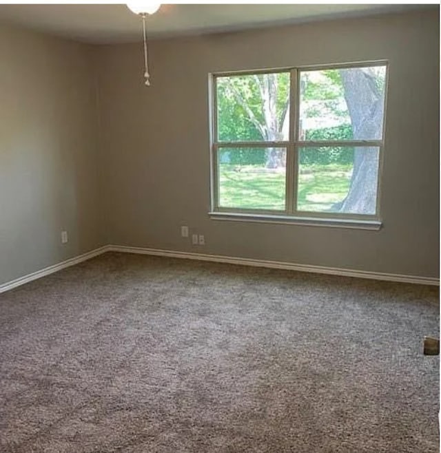 empty room featuring carpet floors, baseboards, and a wealth of natural light