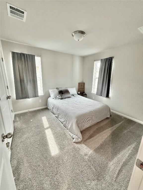 793 Lone Peak Way, Dripping Springs, TX 78620 - bedroom with carpet floors and multiple windows