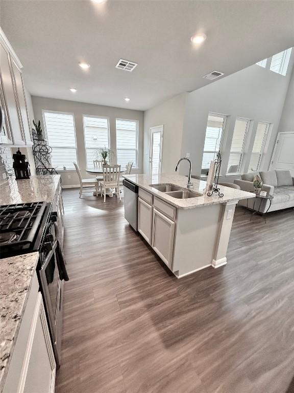 793 Lone Peak Way, Dripping Springs, TX 78620 - kitchen with stainless steel appliances, plenty of natural light, dark wood-style flooring, and recessed lighting