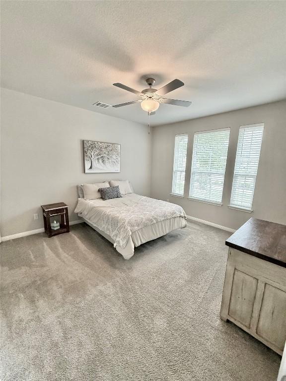 793 Lone Peak Way, Dripping Springs, TX 78620 - photo 8