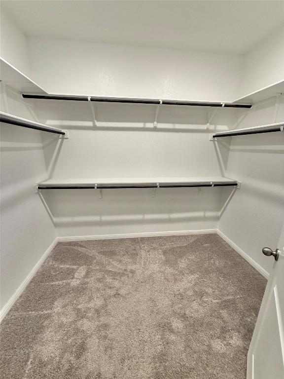 793 Lone Peak Way, Dripping Springs, TX 78620 - spacious closet featuring carpet