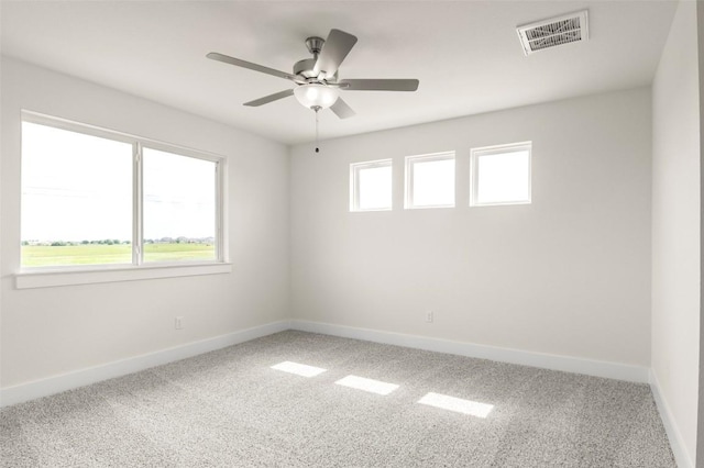 709 White Steppe Way, Georgetown, TX 78626 - photo 19