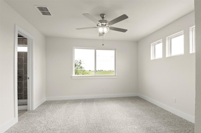 709 White Steppe Way, Georgetown, TX 78626 - photo 18