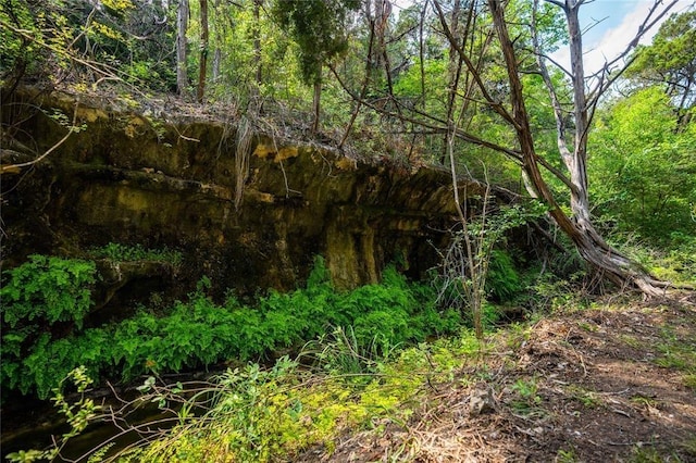 502 Grace Ln, Austin, TX 78746 - view of nature