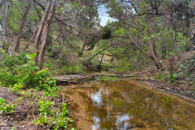 502 Grace Ln, Austin, TX 78746 - view of nature