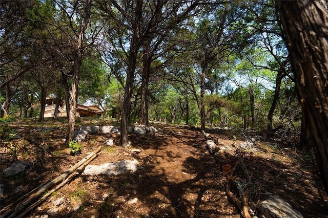 502 Grace Ln, Austin, TX 78746 - view of yard featuring a view of trees