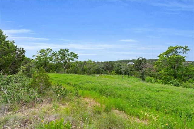 502 Grace Ln, Austin, TX 78746 - view of tree filled area
