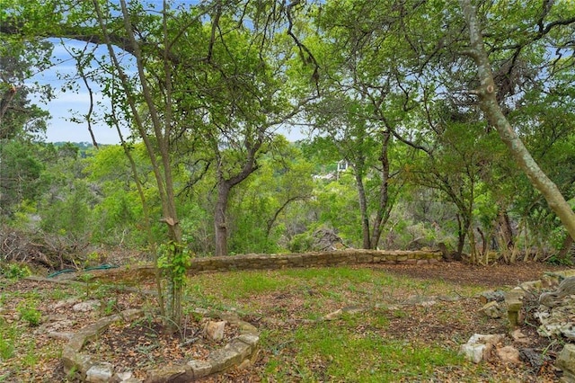 502 Grace Ln, Austin, TX 78746 - view of yard featuring a wooded view