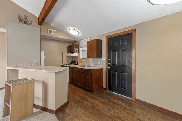 502 Grace Ln, Austin, TX 78746 - kitchen featuring a sink, light countertops, a peninsula, dark wood-style floors, and baseboards