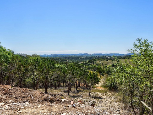 3425 Crawford Rd, Spicewood, TX 78669 - photo 3