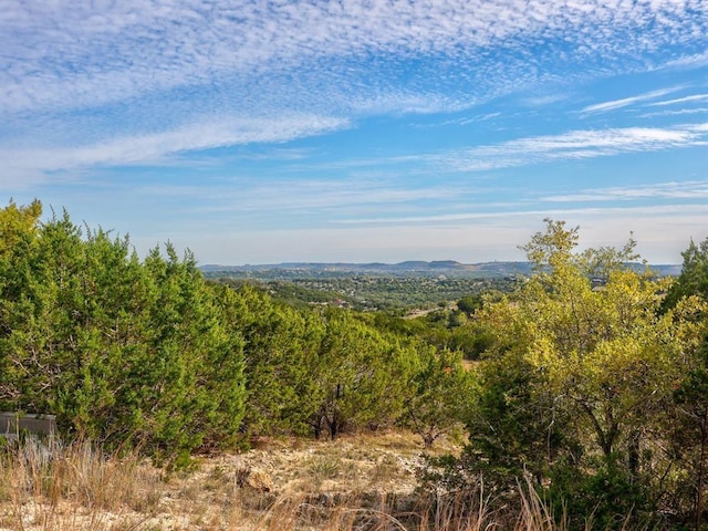 3425 Crawford Rd, Spicewood, TX 78669 - photo 19