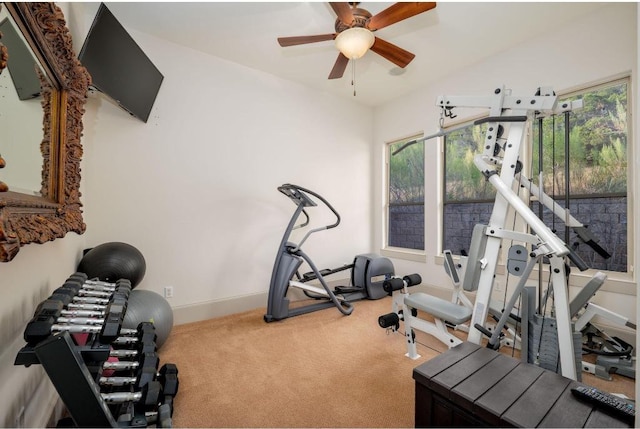 8315 Lime Creek Rd, Volente, TX 78641 - workout room featuring ceiling fan, carpet floors, and baseboards