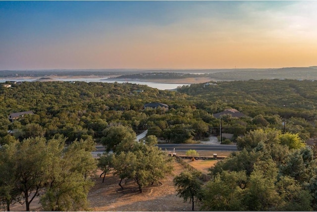 8315 Lime Creek Rd, Volente, TX 78641 - aerial view at dusk of a wooded view and a water view