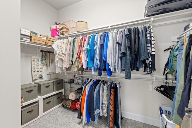 spacious closet featuring carpet flooring