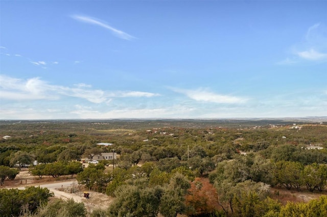 110 Kothmann Rd, Dripping Springs, TX 78620 - photo 4