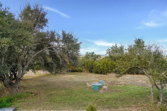 110 Kothmann Rd, Dripping Springs, TX 78620 - photo 5