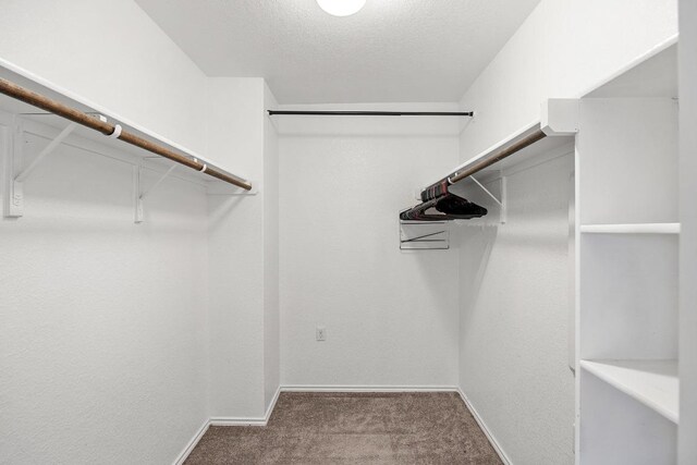 7001 Midlothian Dr, Austin, TX 78754 - walk in closet with carpet