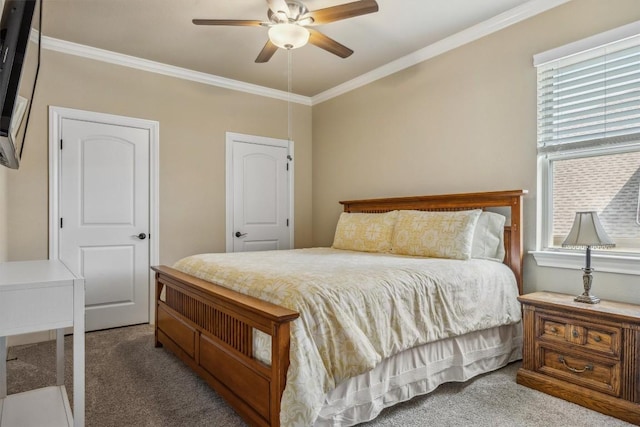 2505 Livenza Pl, Leander, TX 78641 - bedroom with carpet floors, ornamental molding, and a ceiling fan