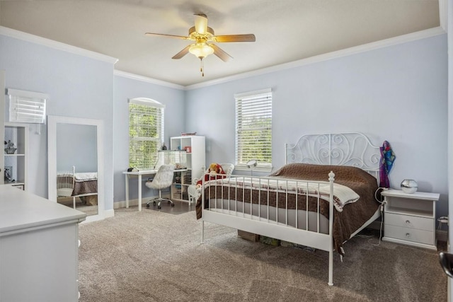 2505 Livenza Pl, Leander, TX 78641 - carpeted bedroom featuring ornamental molding and a ceiling fan