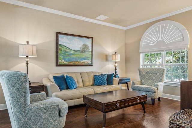 2505 Livenza Pl, Leander, TX 78641 - living room featuring wood finished floors and crown molding