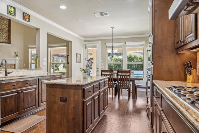 2505 Livenza Pl, Leander, TX 78641 - kitchen featuring appliances with stainless steel finishes, range hood, plenty of natural light, dark wood-type flooring, and crown molding