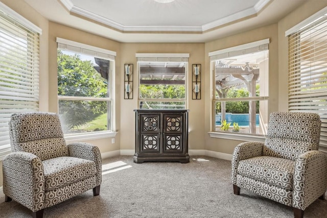 2505 Livenza Pl, Leander, TX 78641 - living area featuring crown molding, plenty of natural light, carpet flooring, and a raised ceiling