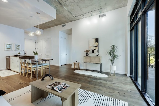 living area featuring wood finished floors, rail lighting, and baseboards