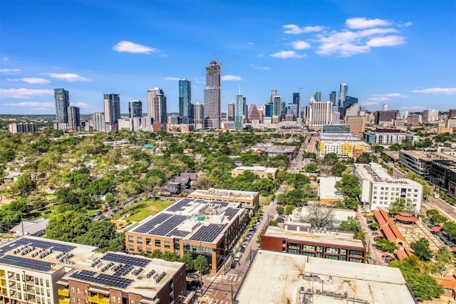 1501 E 4th St Unit 206, Austin, TX 78702 - skyline view