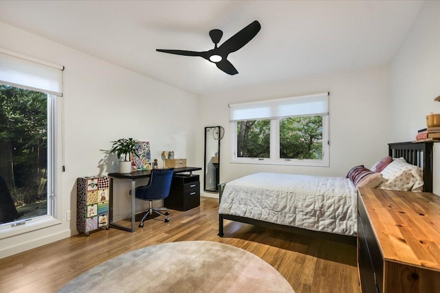 1213 Falcon Ledge Dr, Austin, TX 78746 - bedroom featuring multiple windows, wood finished floors, and a desk